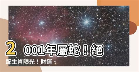 2001年屬什麼|2001年是什麼生肖年，2001年屬什麼生肖